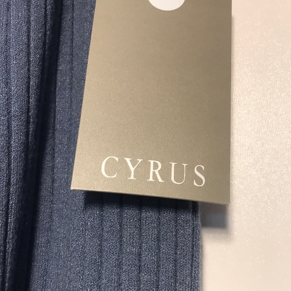 CYRUS Gray Ribbed Pants - Picture 2 of 7